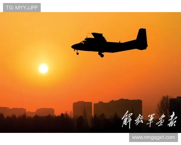 绿茵逐梦激情绽放探寻足球世界背后的力量与荣耀