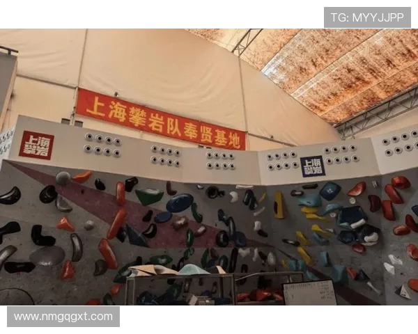 南京攀岩队实力强劲荣获全国攀岩力量排行榜第三名