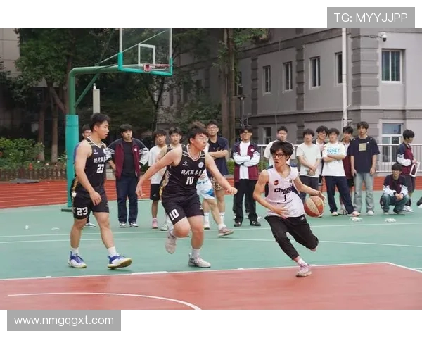 南京篮球队的实力分析与未来发展展望探讨