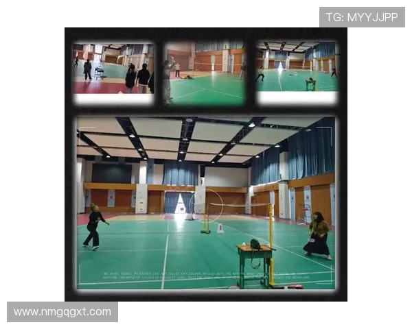 南京羽毛球队在世界锦标赛中的心理素质表现分析与点评