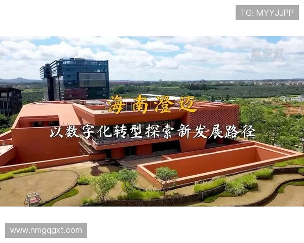 广州篮球队的控制革新探索与发展路径分析