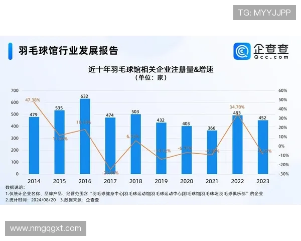 杭州羽毛球队技术表现的数据分析与提升策略探讨