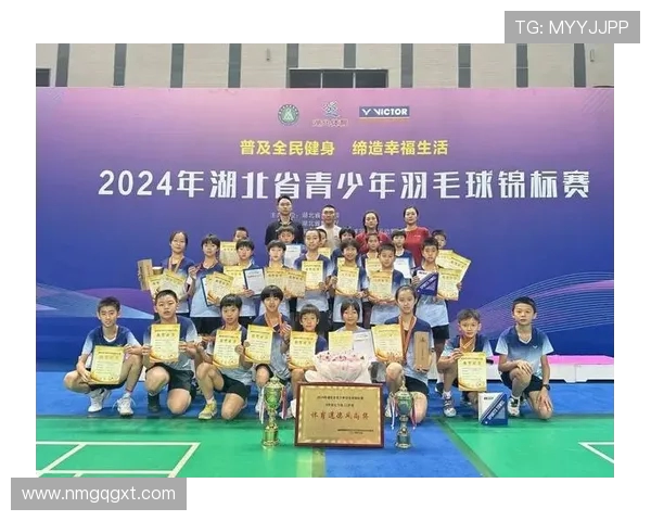 武汉羽毛球队实力解析与发展前景展望