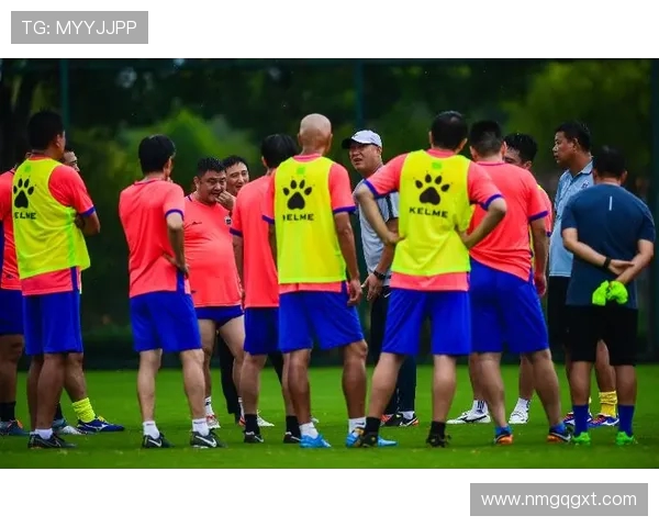 西安足球队技术表现全面分析与数据解读探讨